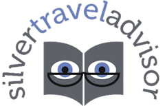 Silver Travel Advisor logo